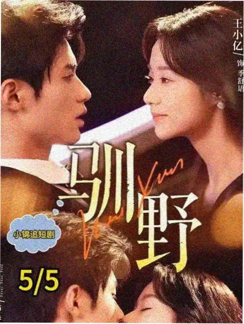 电视剧免费观看完整版 熊家餐馆